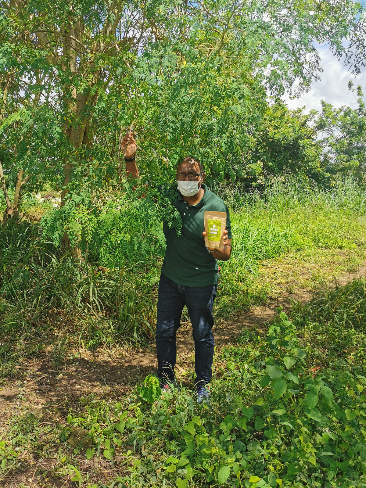 Moringa Powder origin